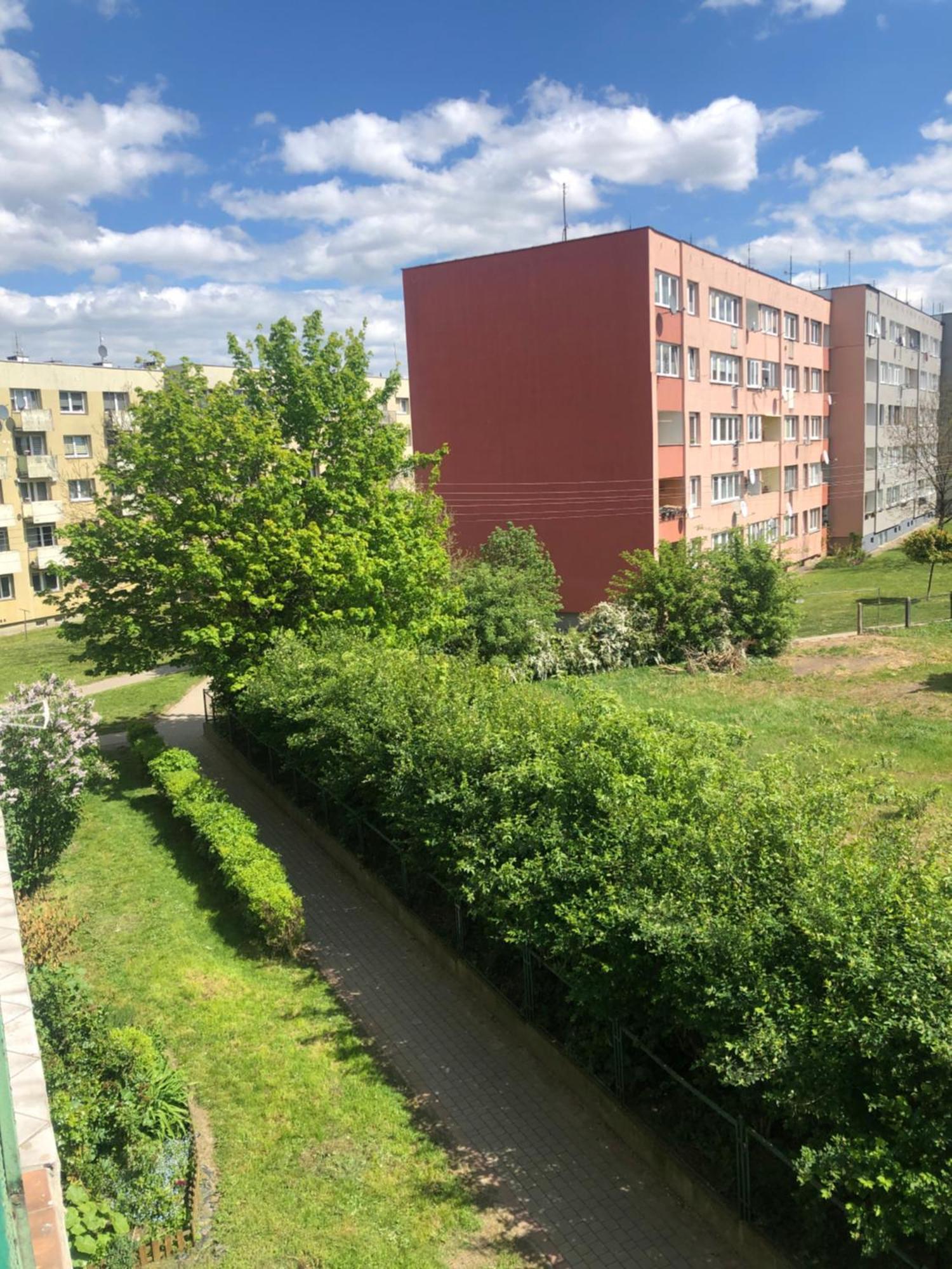 Noclegi Na Sudeckim Świebodzice Exterior foto